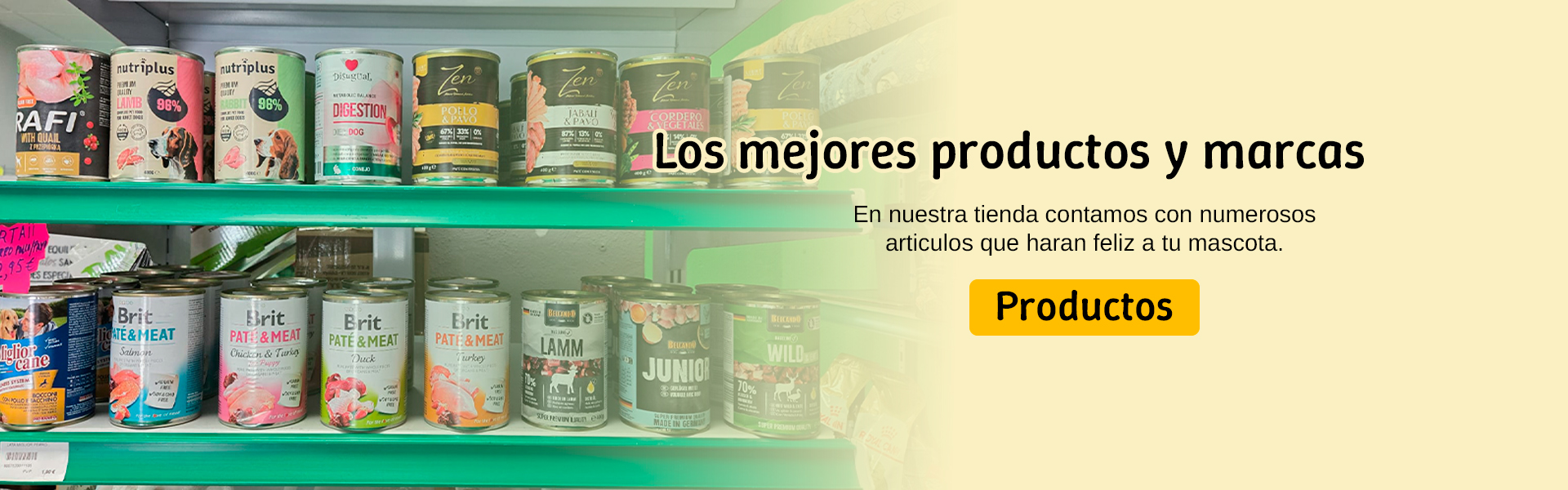 Servicio de peluquería 1