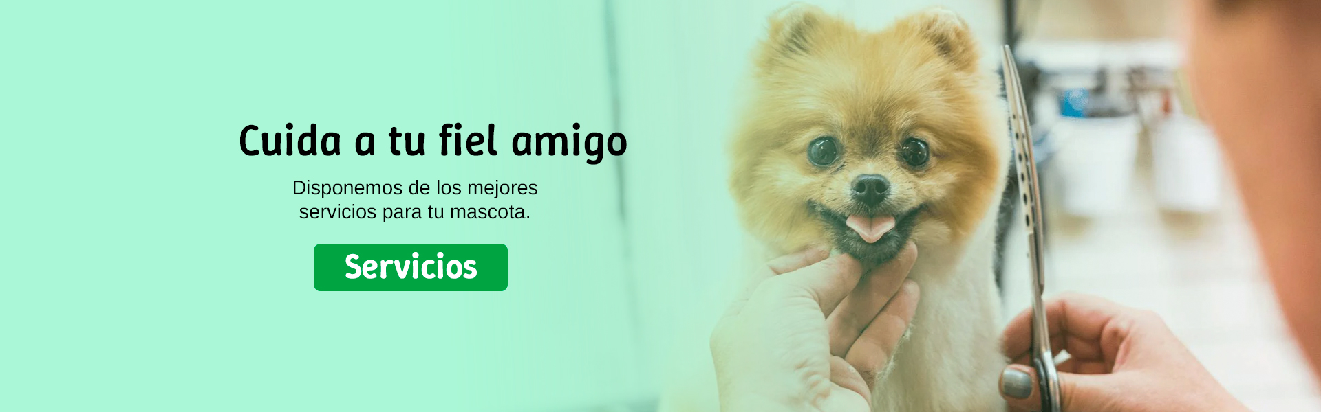 Servicio de peluquería 2
