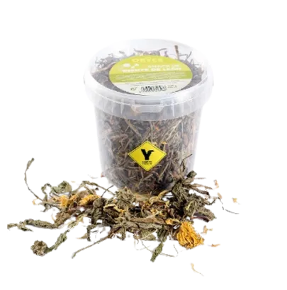 SNACK DIENTE DE LEON 100 GR