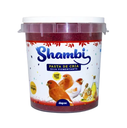 PASTA CRIA ROJA 300GR