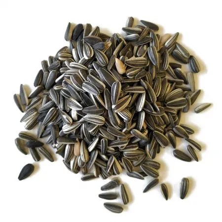 PIPA PEQUEÑA IREGI 300 GR