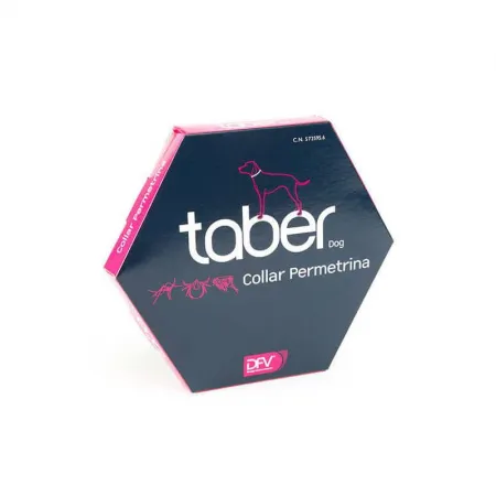 COLLAR TABERDOG 60 CM