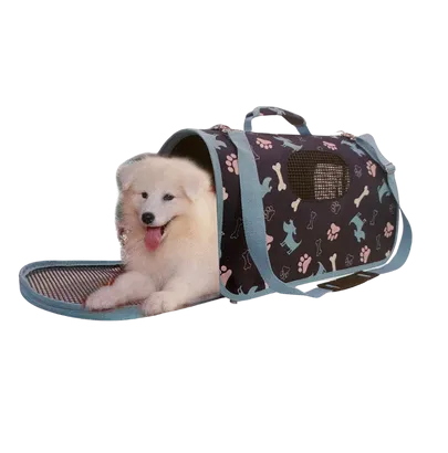 BOLSO TRANSPORTIN VIAJE LETRAS 51x26x29 CM