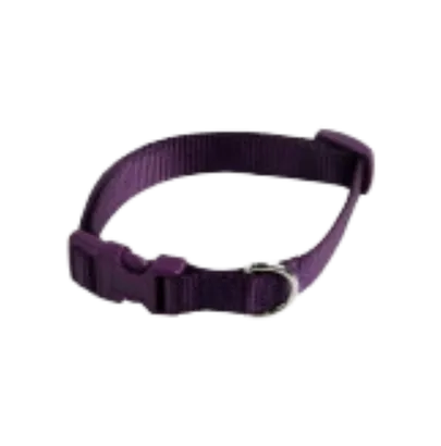 COLLAR AJUSTABLE NYLON MORADO 15x33-40 CM