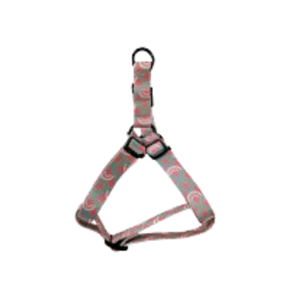 ARNES CIRCLE 30-40x1,5 CM