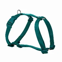 ARNES NYLON VERDE 20 MM