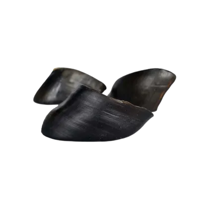 FRESH RAW PEZUÑA VACIA BUFALO  1 UND