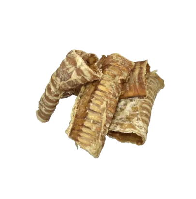 FRESH RAW TRAQUEA BUFALO 1 UND