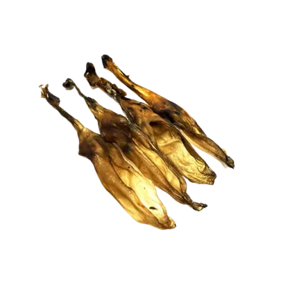 FRESH RAW OREJA SIN PELO 1 UND