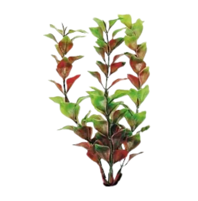 PLANTA PLASTICO PECERA