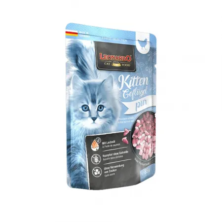 LEONARDO MENÚ KITTEN AVE 85 GR