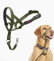 BOZAL ANTI TIRONES HALTI TALLA 2